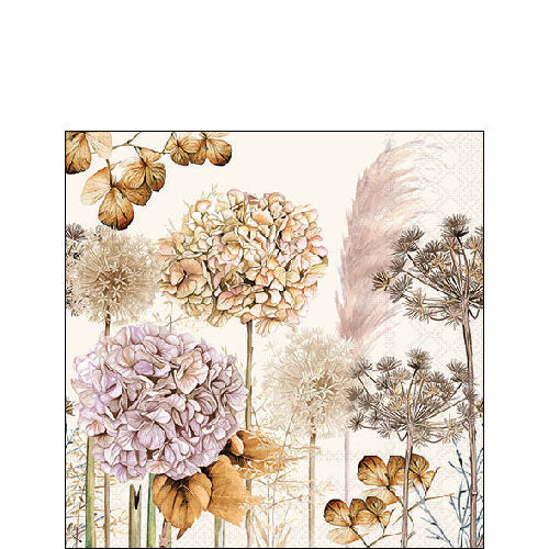 Ambiente Servetit 25 cm Dried Flowers