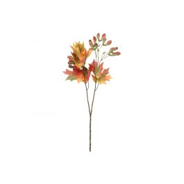 Vaahtera Oksa 75 cm
