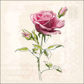 Ambiente Servetit 33 cm Vintage rose