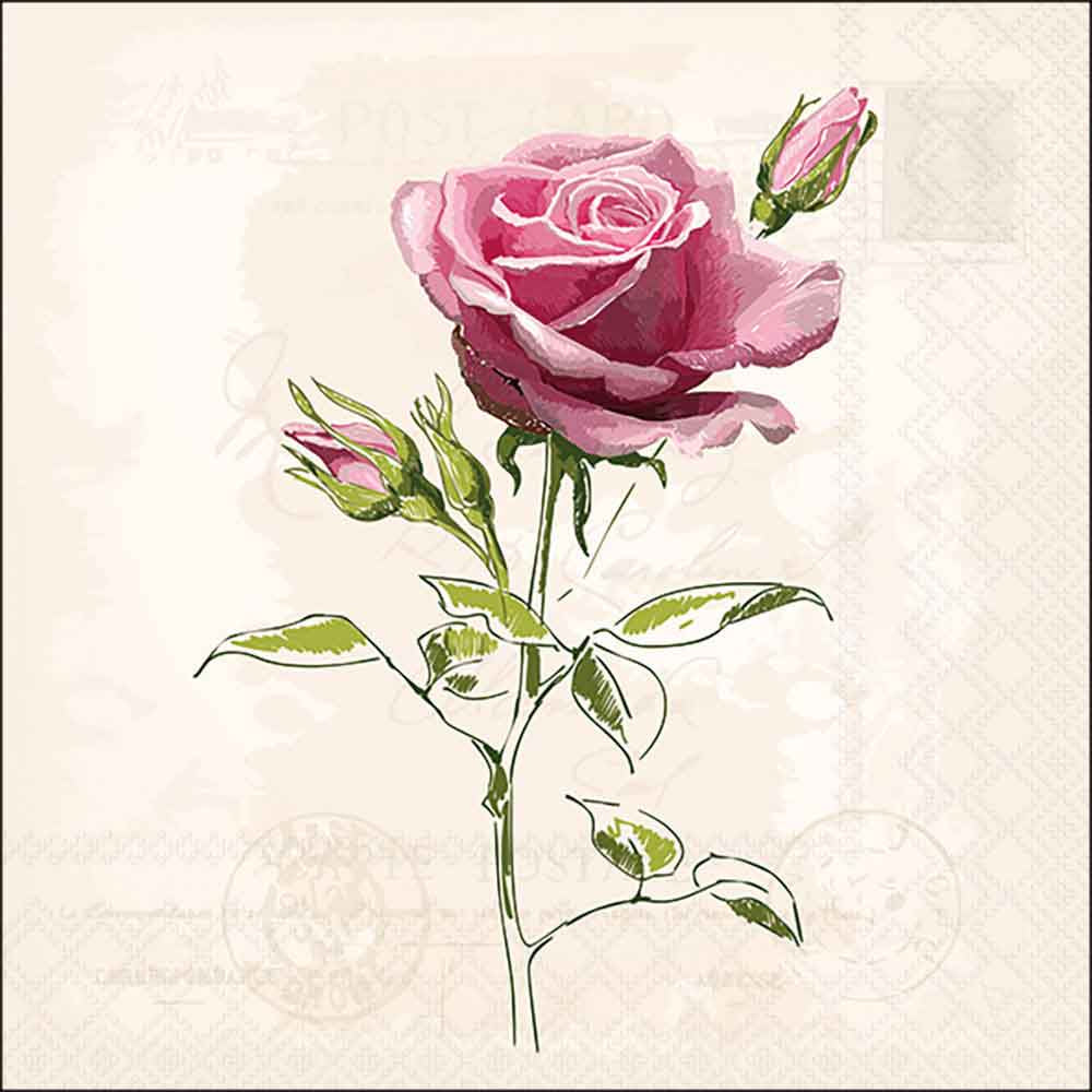 Ambiente Servetit 33 cm Vintage rose