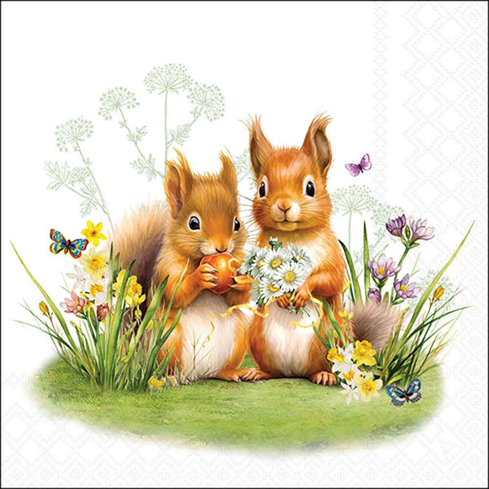 Ambiente Servetit 33 cm squirrels