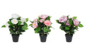 4Living Pioni Ruukussa 45 cm