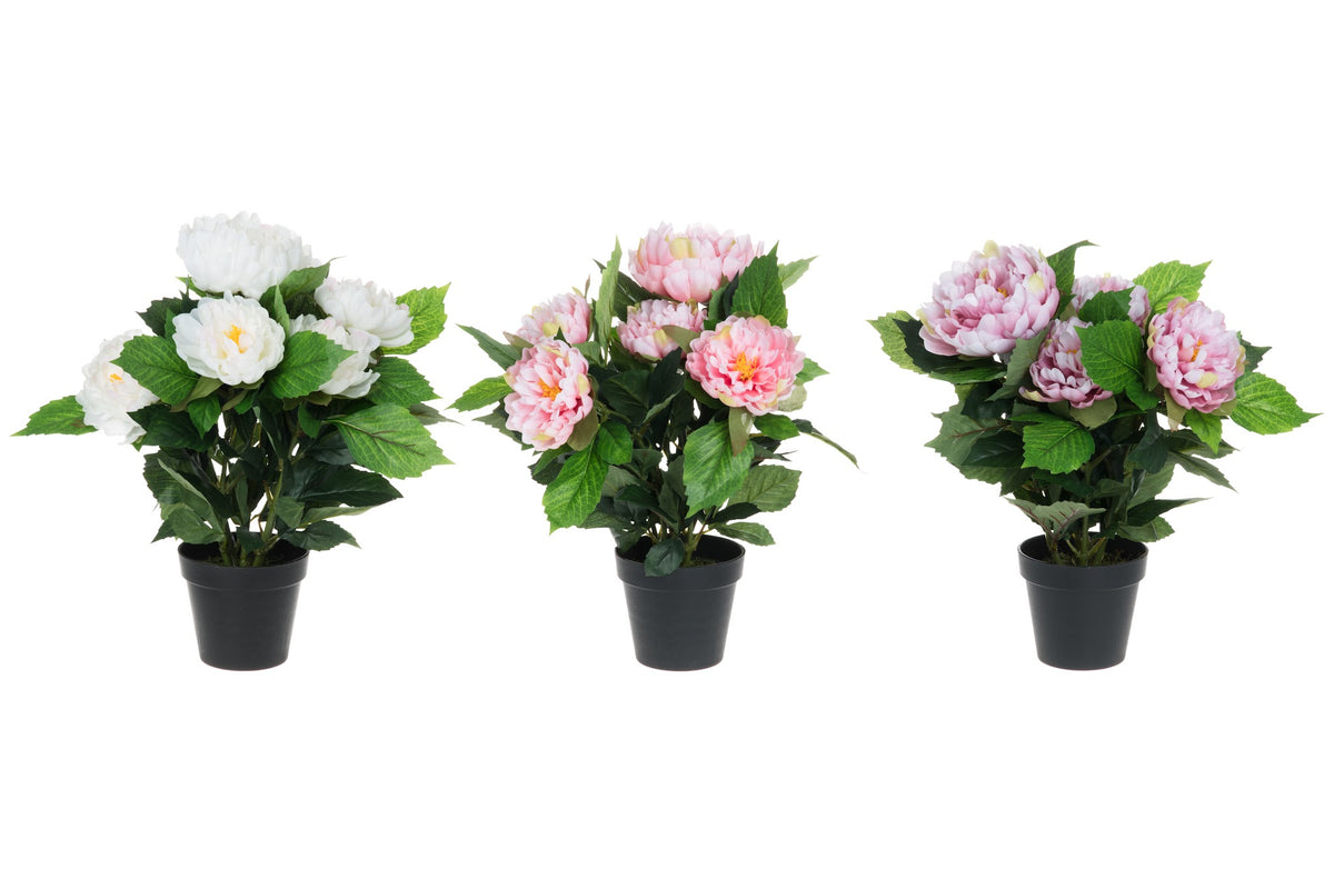 4Living Pioni Ruukussa 45 cm