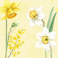 Duni Servetit 33x33 Spring Daffodil