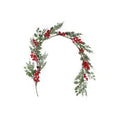 Winteria Köynnös Punaiset Marjat 130 cm