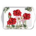 Ambiente Melaniinitarjotin 13x21 Blooming Amaryllis