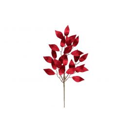 Winteria koristeoksa, punaiset lehdet, 50 cm