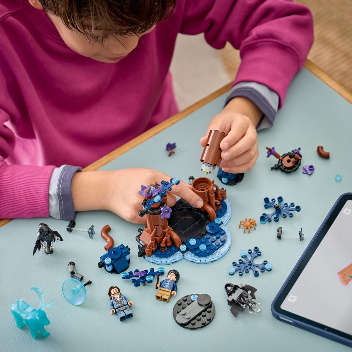 Lego Kielletty metsä: Odotum suojelius