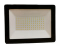 Zodiak 100W Led valonheitin IP44
