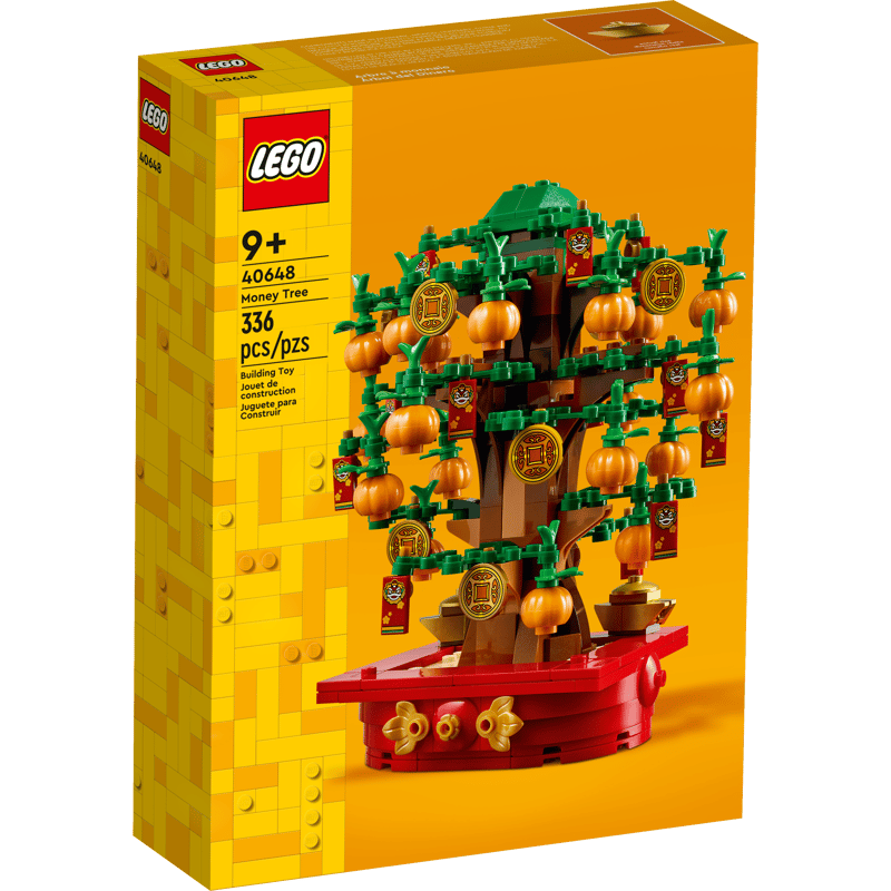 Lego Rahapuu 40648