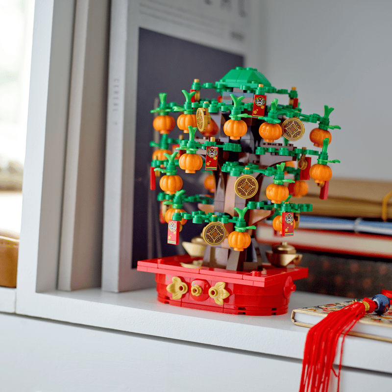 Lego Rahapuu 40648