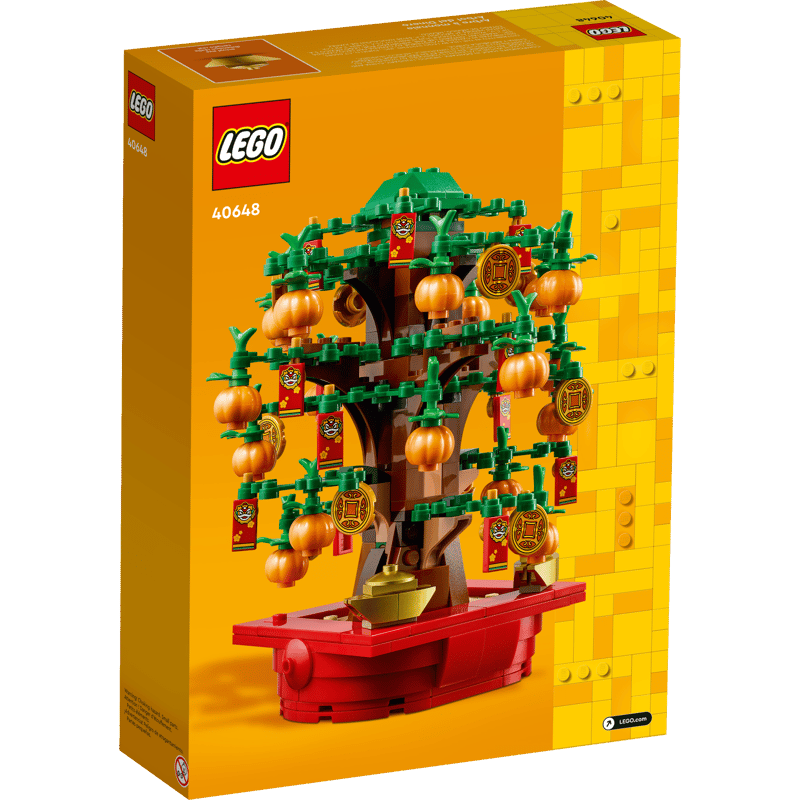 Lego Rahapuu 40648