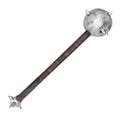 Morning Star 71 cm