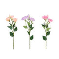 4Living Preeriaeustoma Oksa 62 cm
