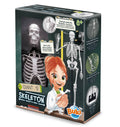 Skeleton Luuranko 45 cm