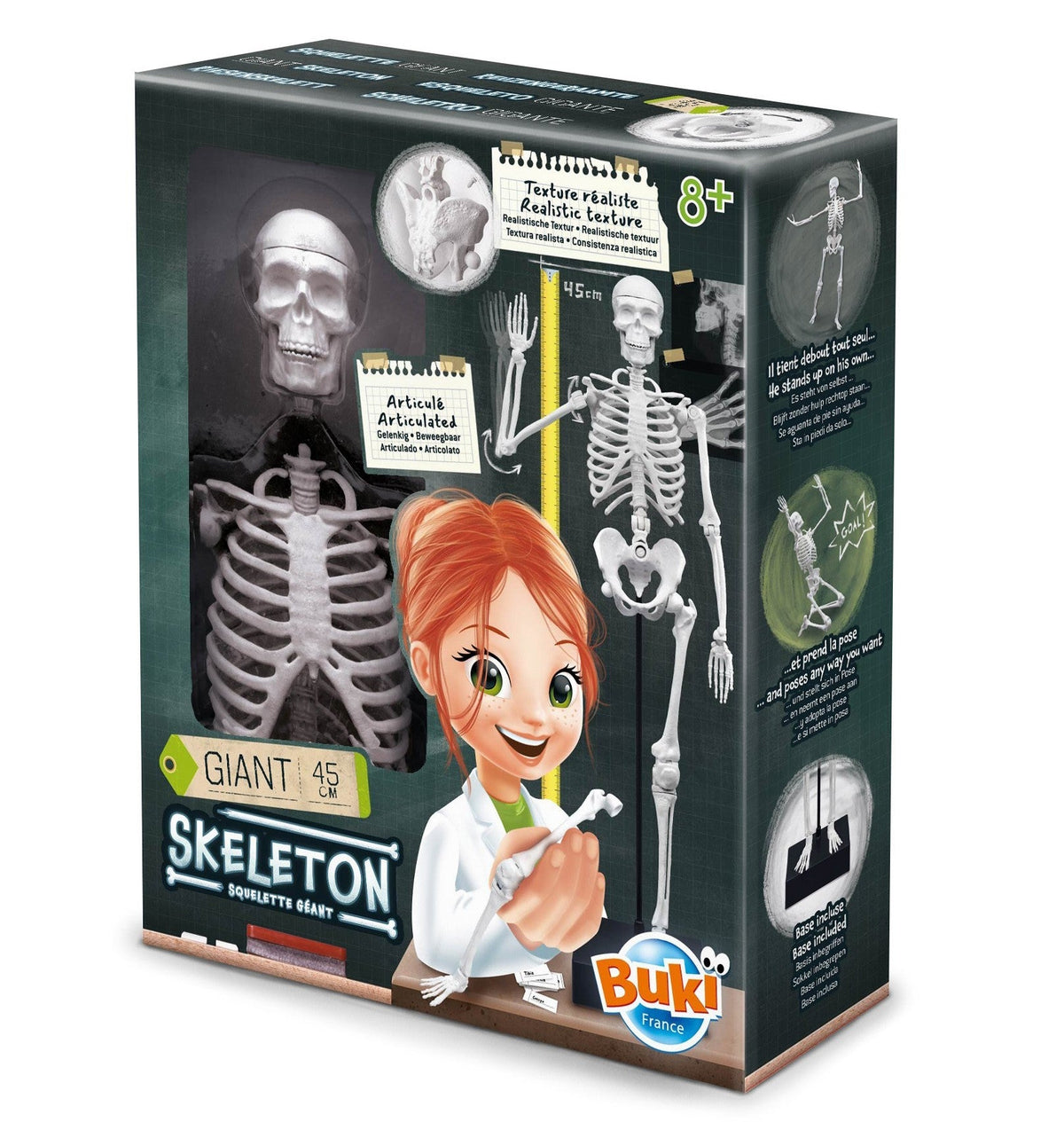Skeleton Luuranko 45 cm