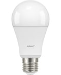 Airam Kasvilamppu E27 Opal.  1100 lm/4000k