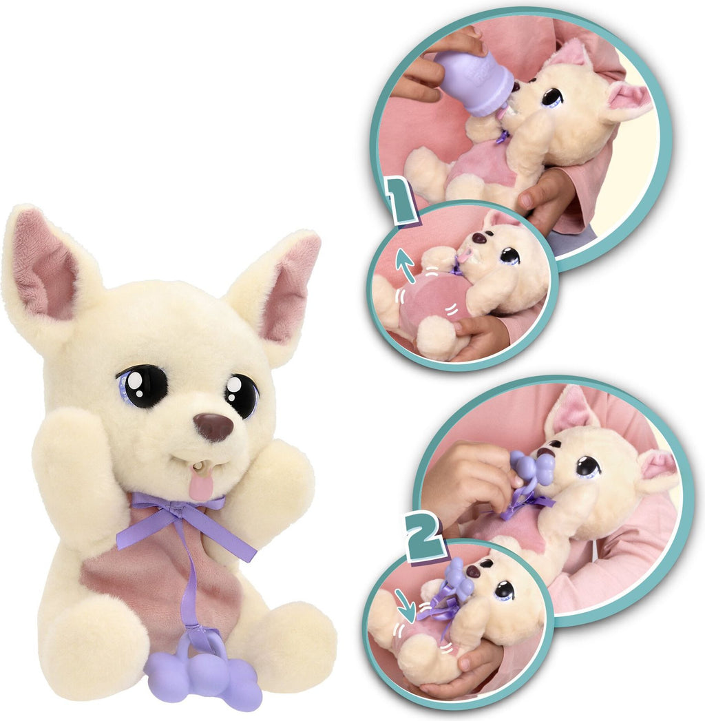 Baby Paws Chihuahua