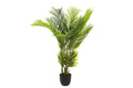 4Living Huonepalmu 140 cm