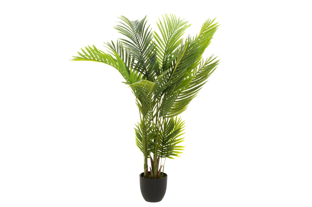 4Living Huonepalmu 140 cm