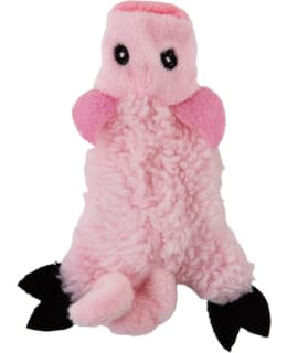 BF ini Pig kissan lelu
