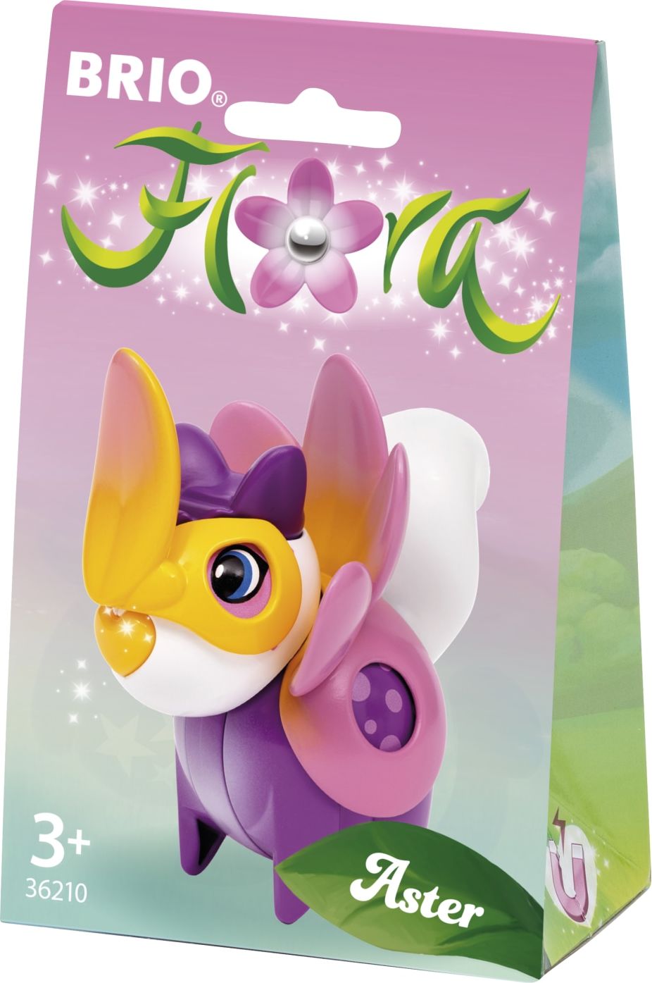 Brio Aster-kukka-asu