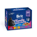 BRIT PRENIUM CAT LIHA-KALA LIHA-KALA PALOJA KASTIKKEESSA