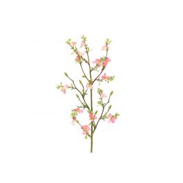 Kirsikka Oksa 74 cm