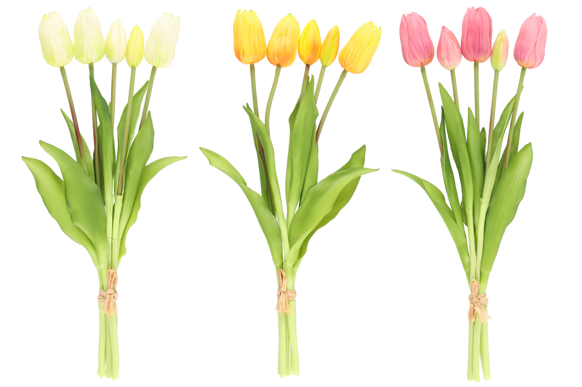 Tulppaani kimppu 40 cm laji.