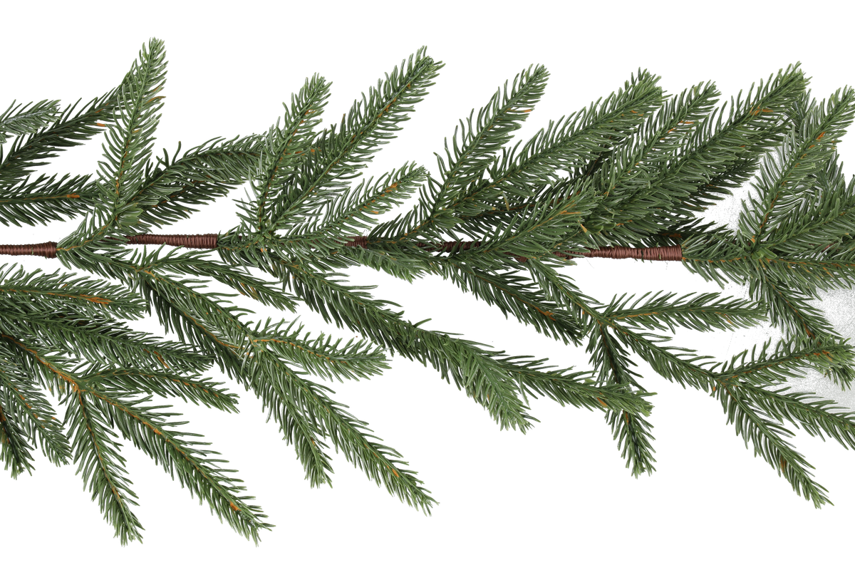 Winteria Havuköynnös 275 cm
