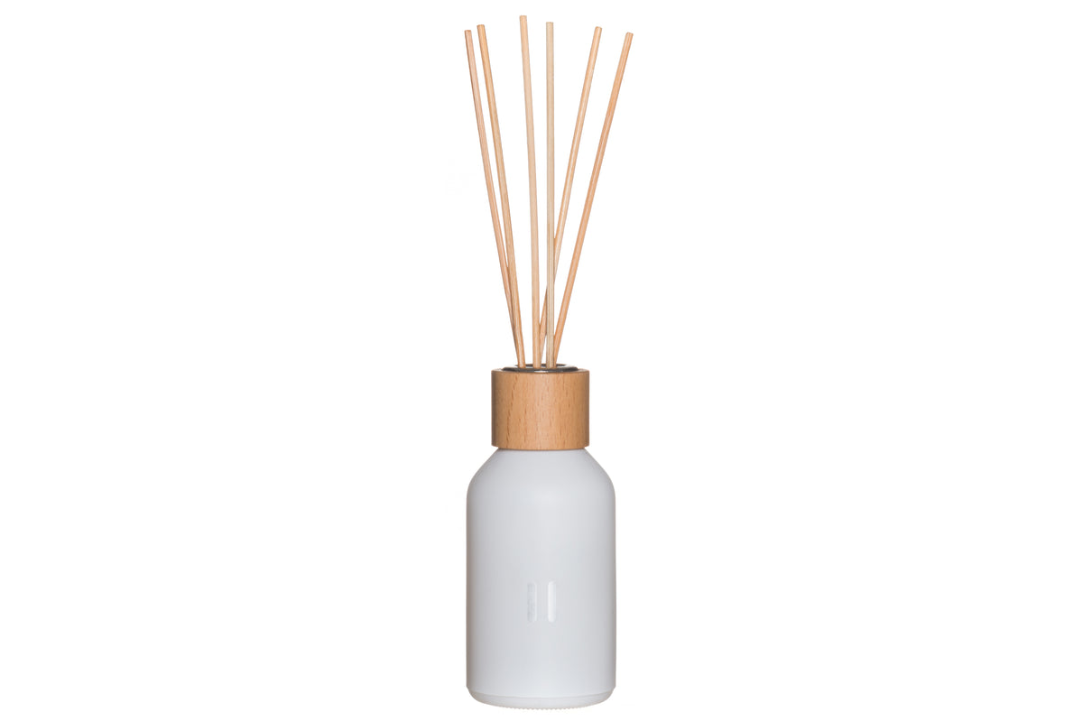 Rento Huonetuoksu Koivu 100 ml