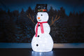 Finnlumor Lumiukko 90 cm