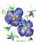 Duni Servetit 33 cm Viola JukkaRintala