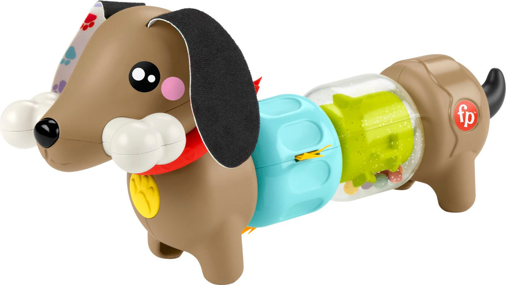 Fp Click & Spin Activity Pup
