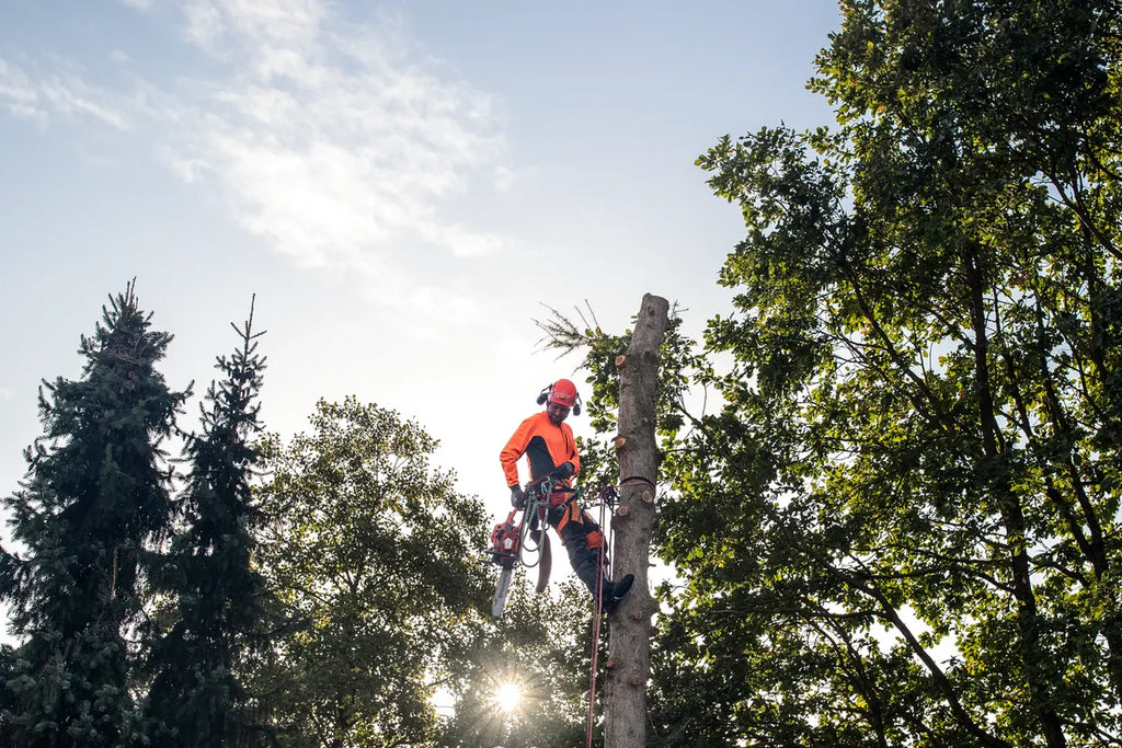 Kiila, 10 cm (4") - Arborist