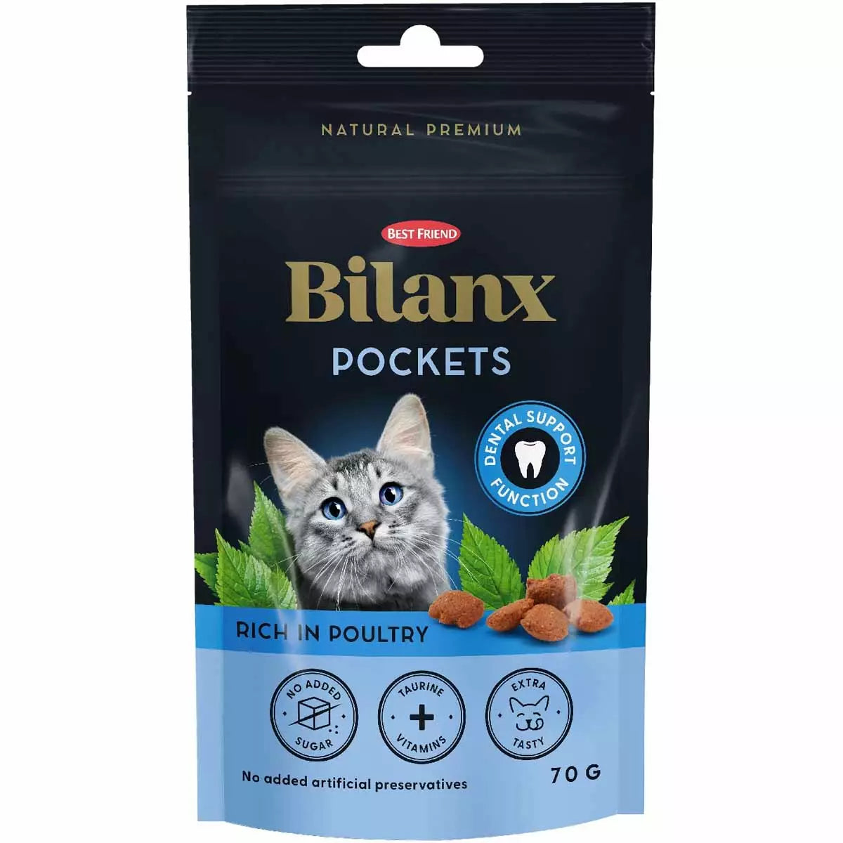 Bilanx Dental  herkku 70 g