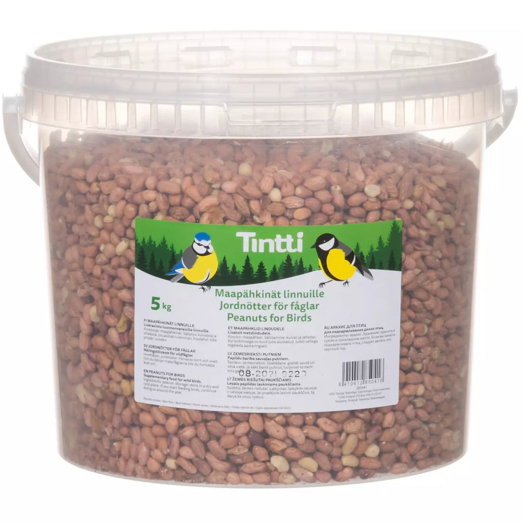 Tintti maapähkinäsanko