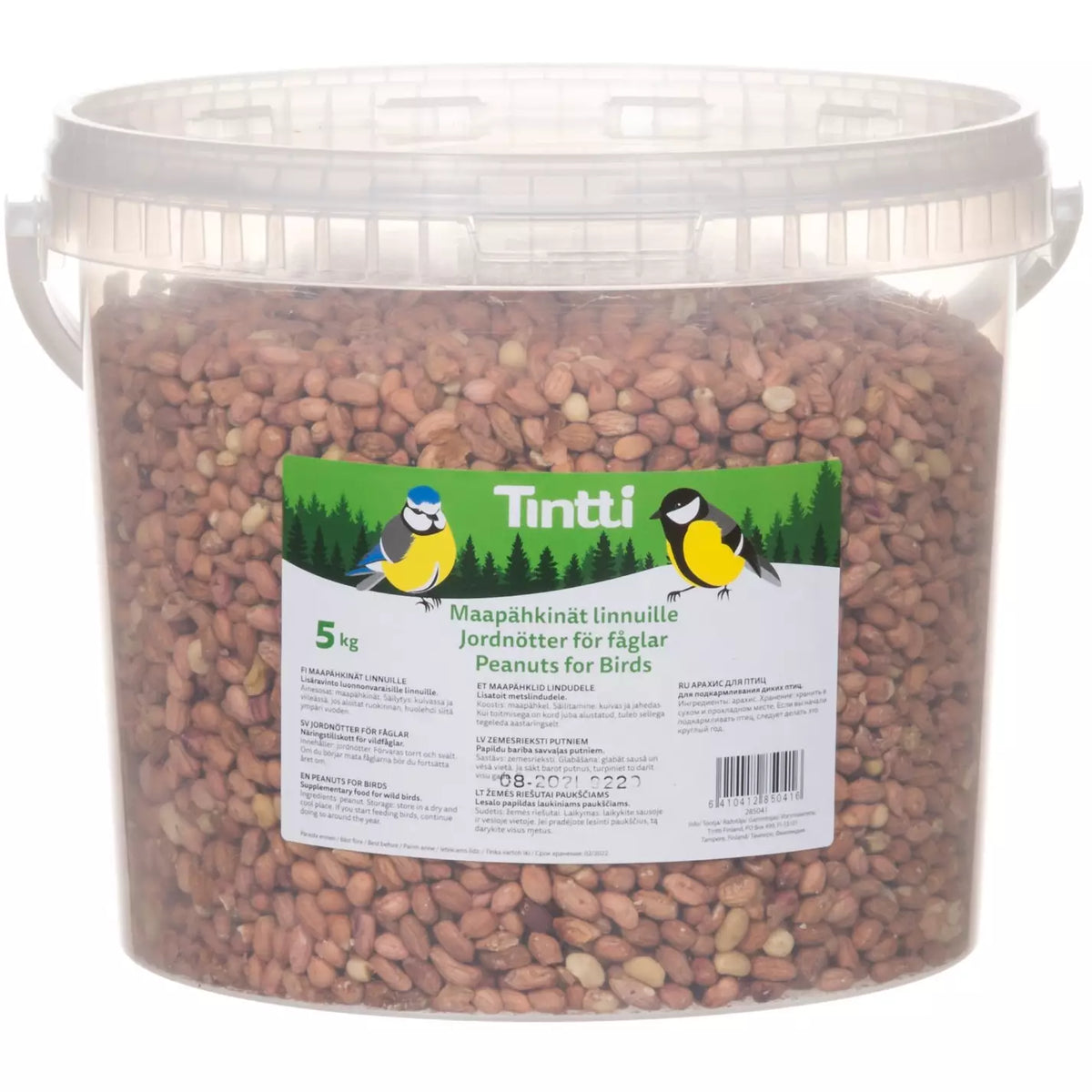 Tintti maapähkinäsanko