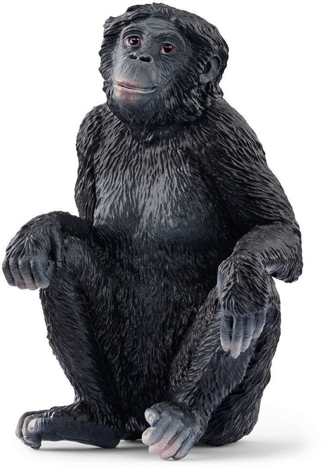 Schleich 14875