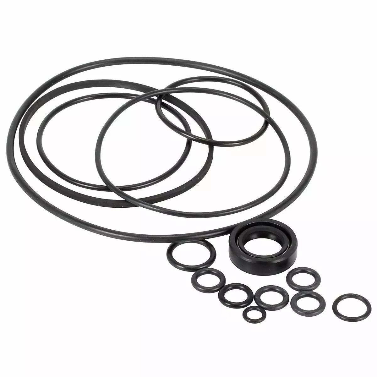 Tehostimen pumpun tiivistesarja fo 83910651