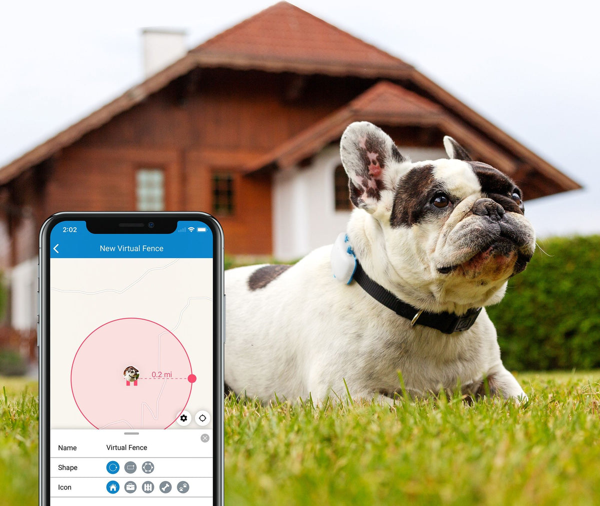 Tractive Koiran GPS-paikannin
