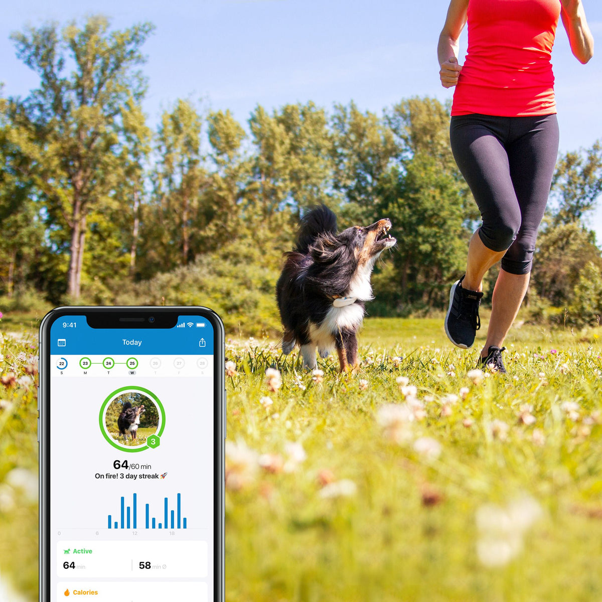 Tractive Koiran GPS-paikannin
