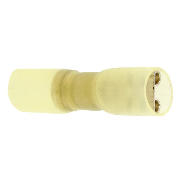 Kutiste lattaliitin naaras kelt 10 kpl 6,6 mm