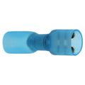 Kutiste lattaliitin naaras sin 10 kpl 6,6 mm
