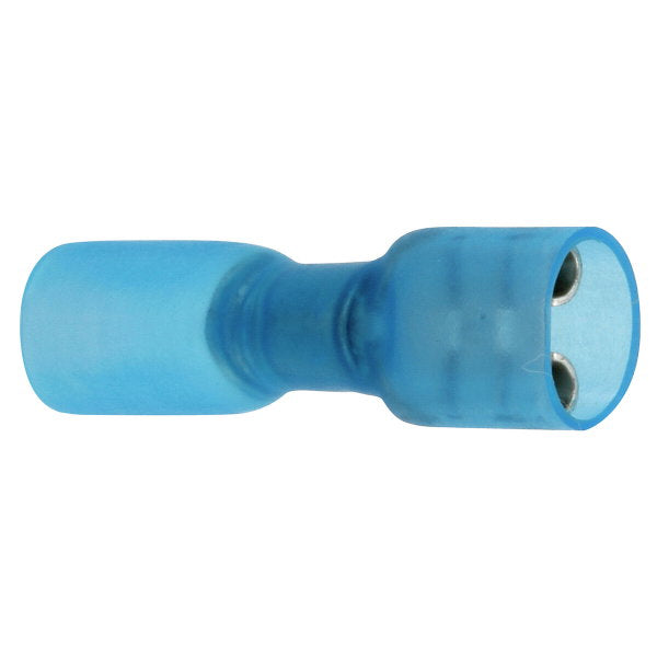 Kutiste lattaliitin naaras sin 10 kpl 6,6 mm