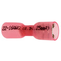 Kutiste lattaliitin naaras pun 10 kpl 6,6 mm